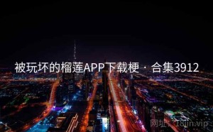 被玩坏的榴莲APP下载梗 · 合集3912