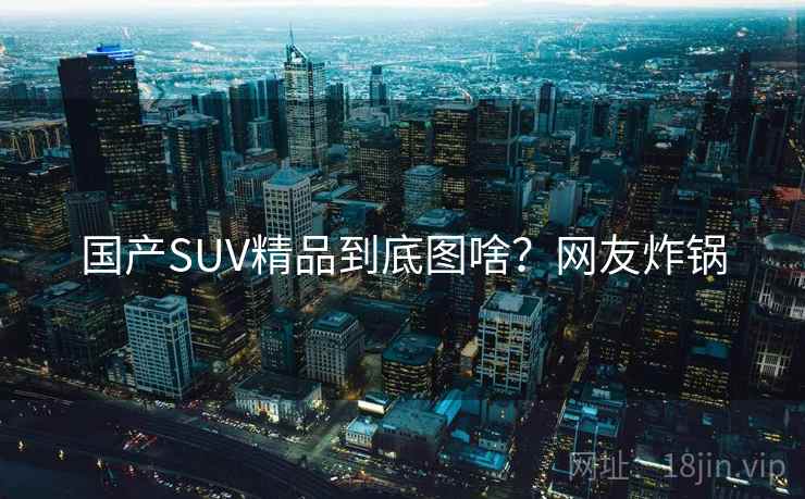 国产SUV精品到底图啥?网友炸锅 国产SUV精品到底图啥?网友炸锅