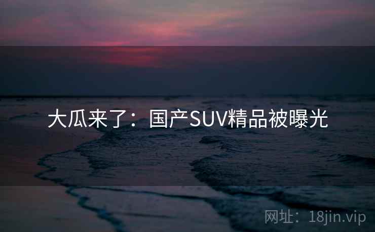 大瓜来了:国产SUV精品被曝光 大瓜来了:国产SUV精品被曝光