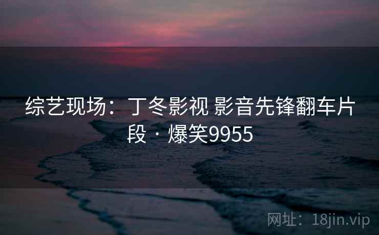 综艺现场:丁冬影视 影音先锋翻车片段 · 爆笑9955 综艺现场:丁冬影视 影音先锋翻车片段 · 爆笑9955